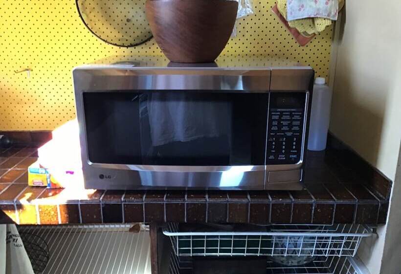 Memories By The Sea   Busselton