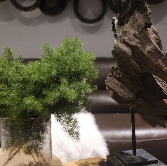 Moin Lakeside Pool Villa Chiangmai