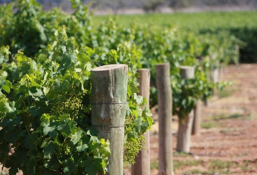 Mundic Waterfront Cottages