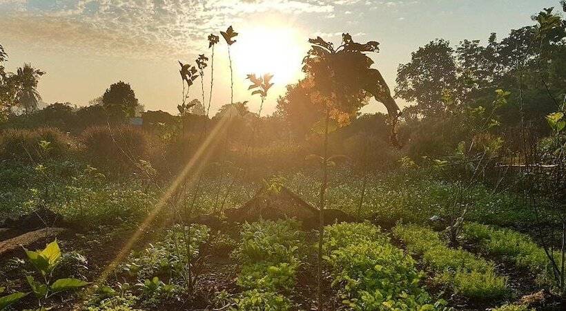 ペンション Aum Hum Homestay