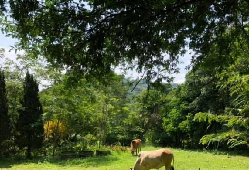 ペンション Aum Hum Homestay