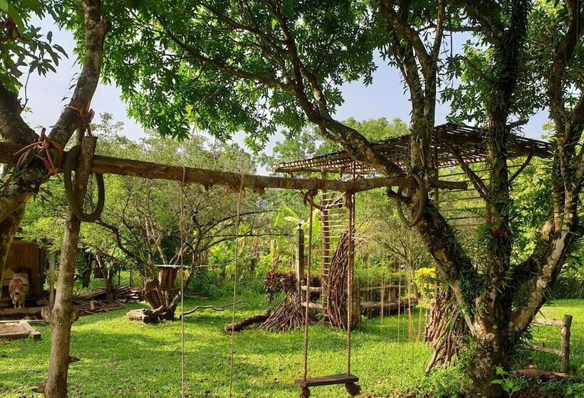 ペンション Aum Hum Homestay