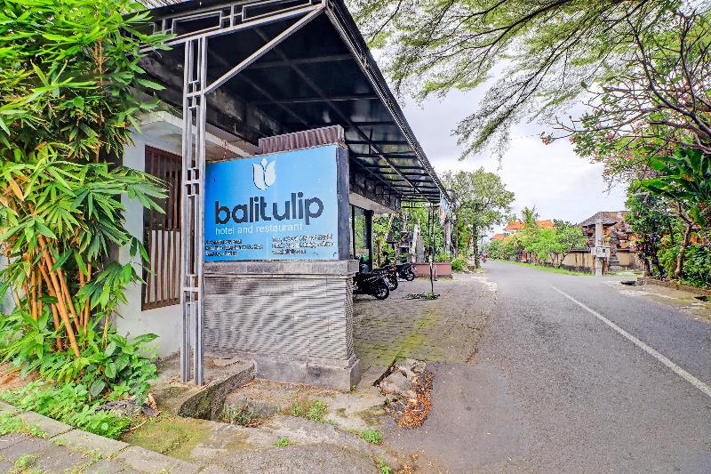 פנסיון Bali Tulip