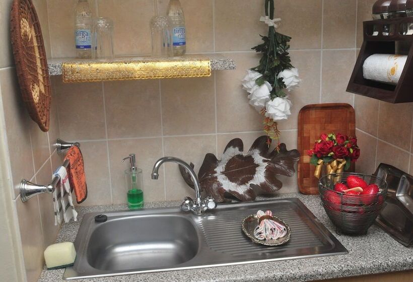 Pensiune Mpofu Guest House