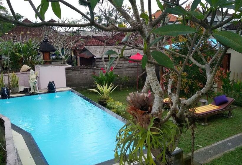 פנסיון Svaha Guest House