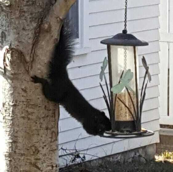 The House On The Hill