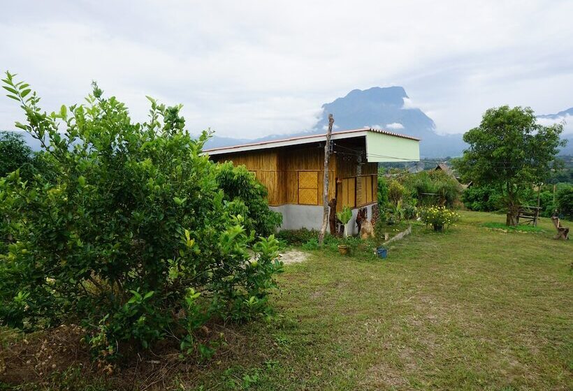 ユースホステル Baan 2 Dao Farmstay