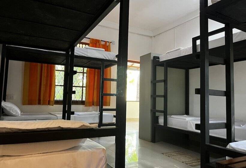 ユースホステル Funky Leopard Safari Lodge Bordering Yala National Park