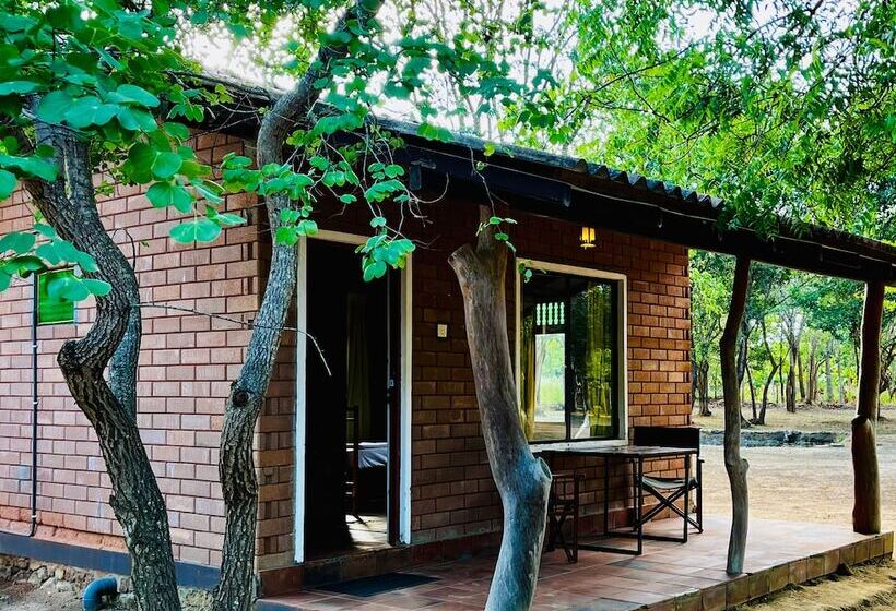 ユースホステル Funky Leopard Safari Lodge Bordering Yala National Park