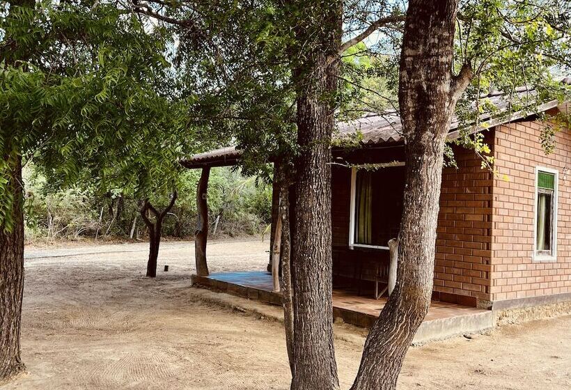 فندق صغير Funky Leopard Safari Lodge Bordering Yala National Park