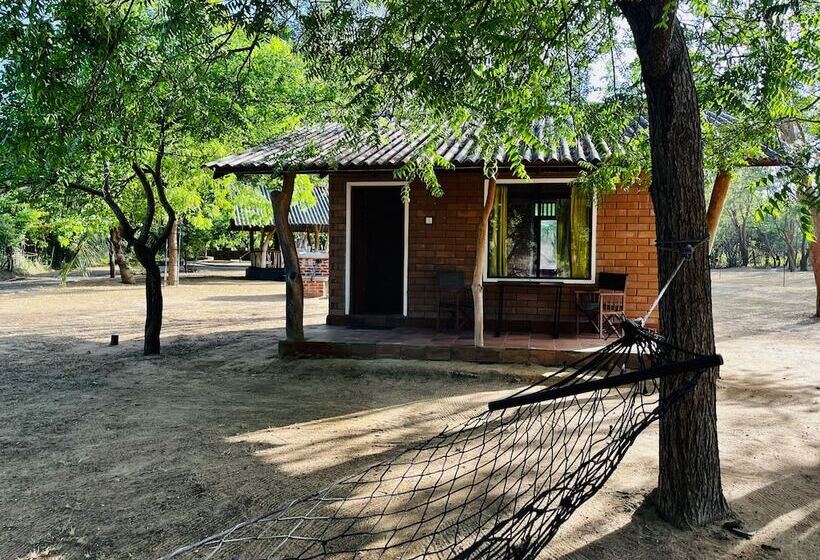 فندق صغير Funky Leopard Safari Lodge Bordering Yala National Park