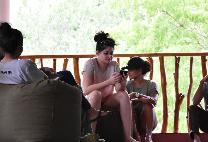 فندق صغير Funky Leopard Safari Lodge Bordering Yala National Park