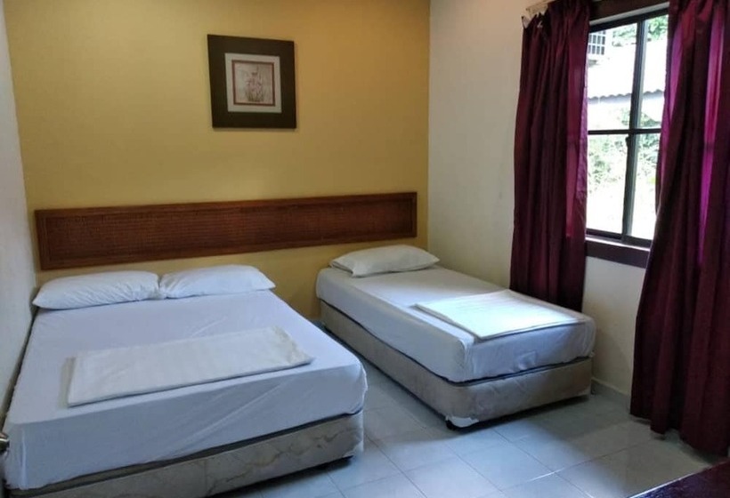 Ann Homestay Villa 893