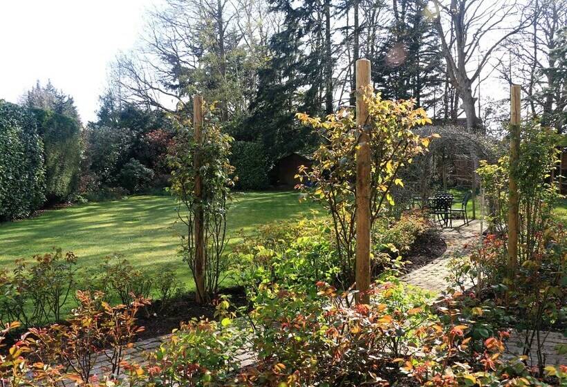 צימר Dawyk Beech Guesthouse