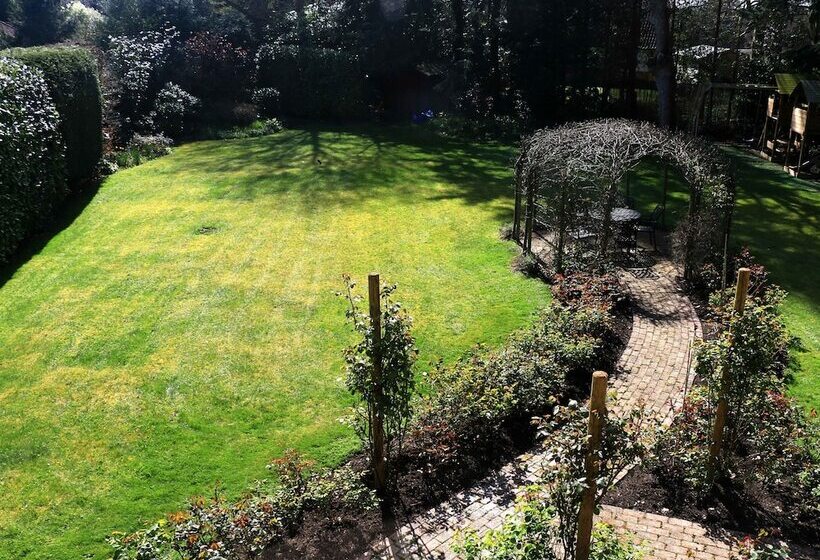 住宿加早餐 Dawyk Beech Guesthouse