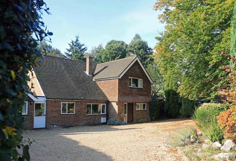 住宿加早餐 Dawyk Beech Guesthouse