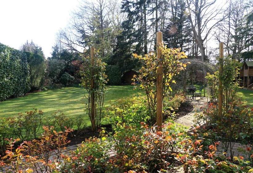 住宿加早餐 Dawyk Beech Guesthouse