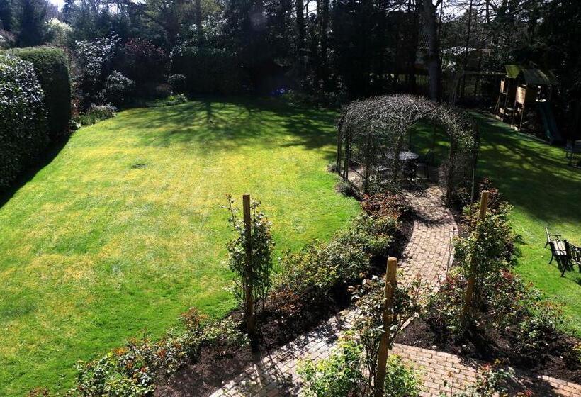 住宿加早餐 Dawyk Beech Guesthouse