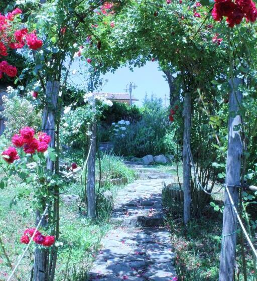 Bed and Breakfast Locanda Zacco