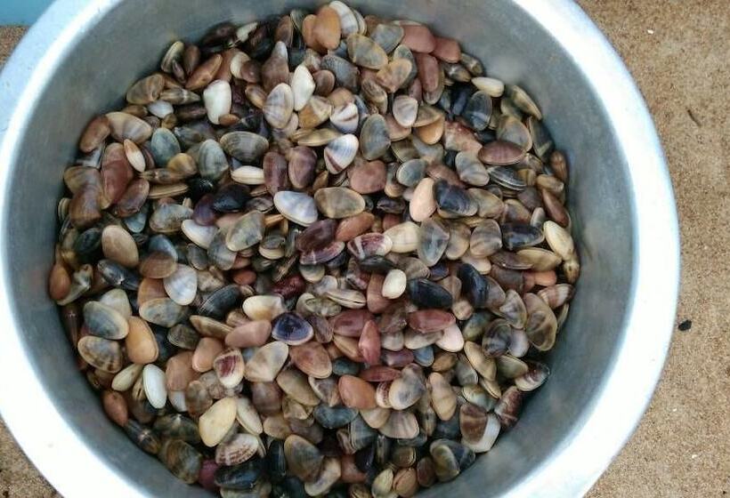 D Pantai Homestay Kuala Sg. Baru