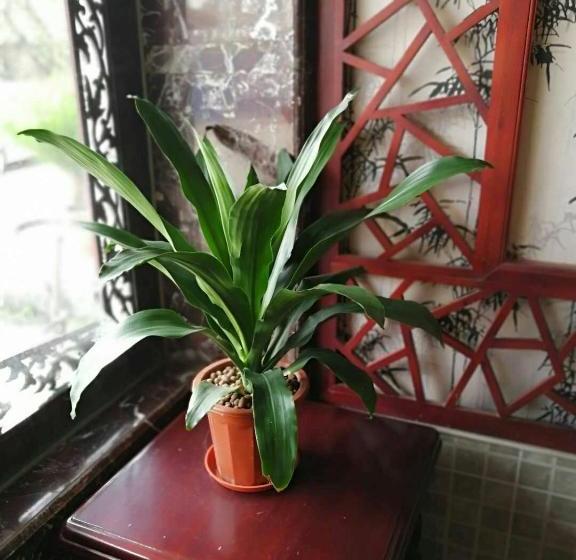 Хостел Shan Ju Ge Hotel Yangshuo