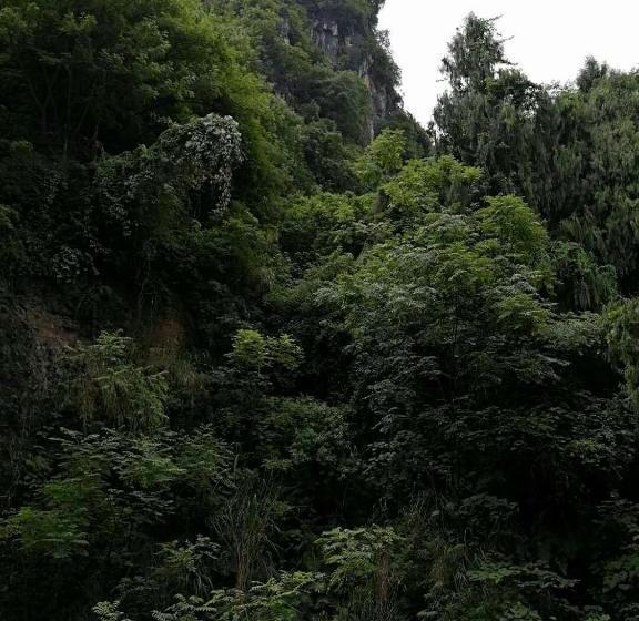 여관 Shan Ju Ge Hotel Yangshuo