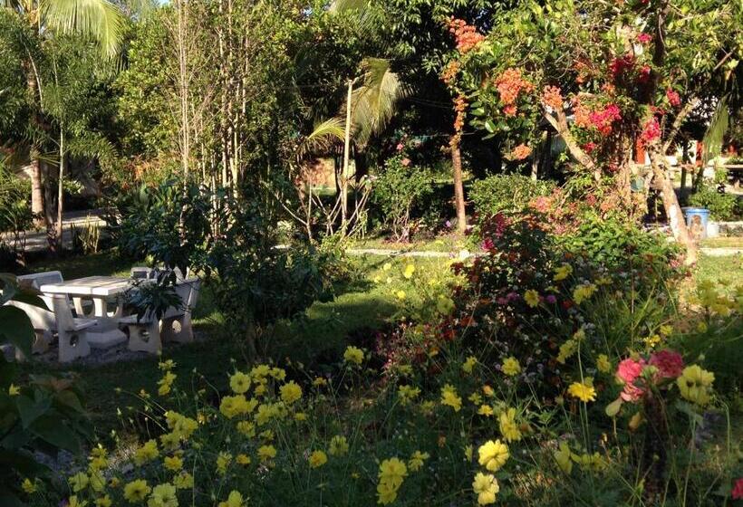 فندق Areeya Resort