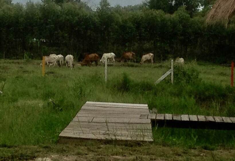 فندق Areeya Resort