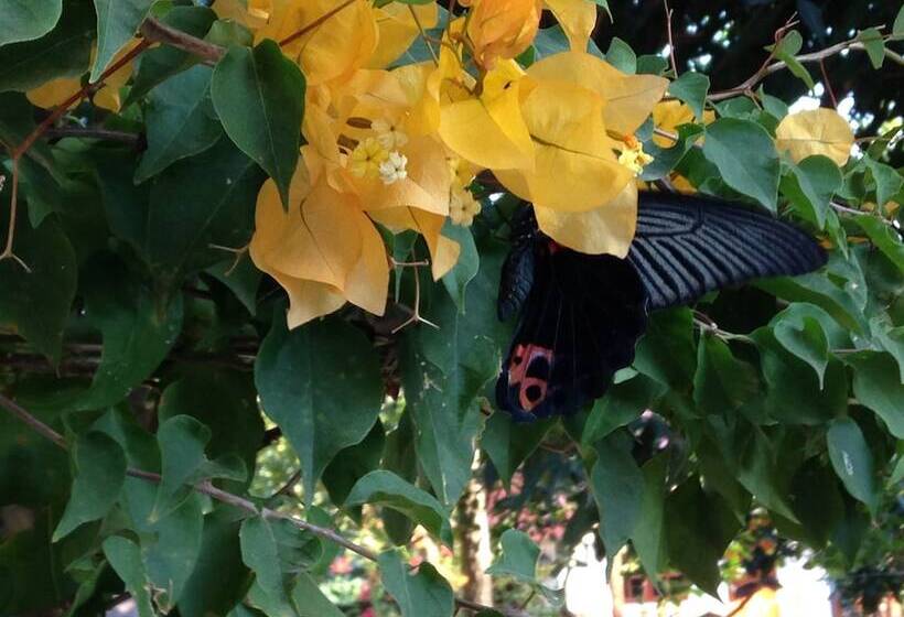 فندق Areeya Resort