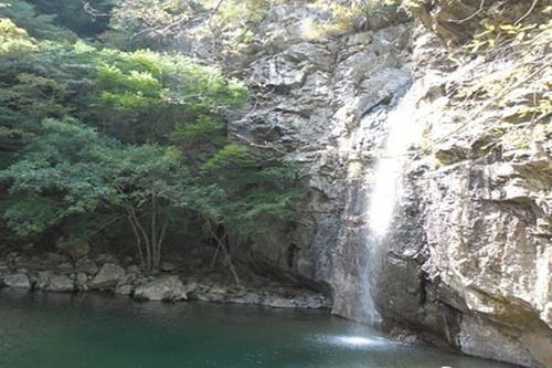 Baenaegol Picture And Garden Pension