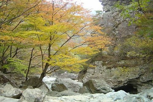 Baenaegol Picture And Garden Pension