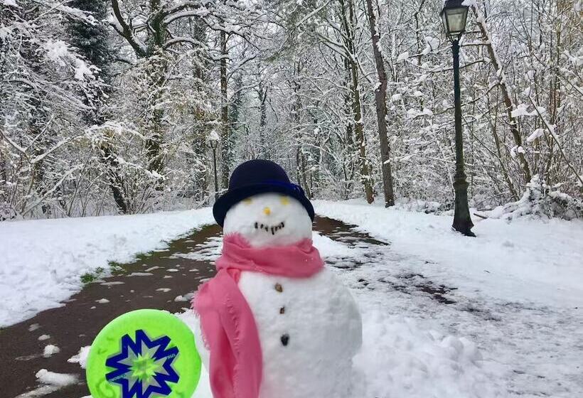 בית מלון כפרי Château Des Forgets