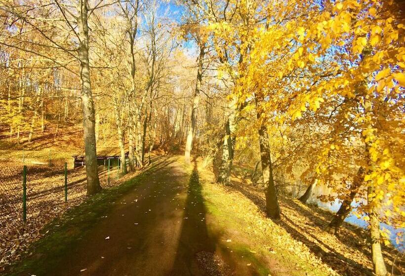 בית מלון כפרי Château Des Forgets