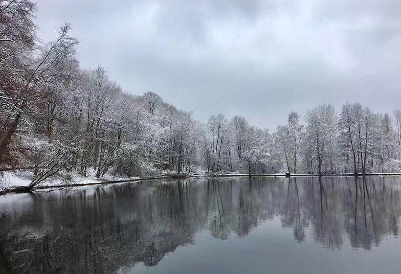 בית מלון כפרי Château Des Forgets