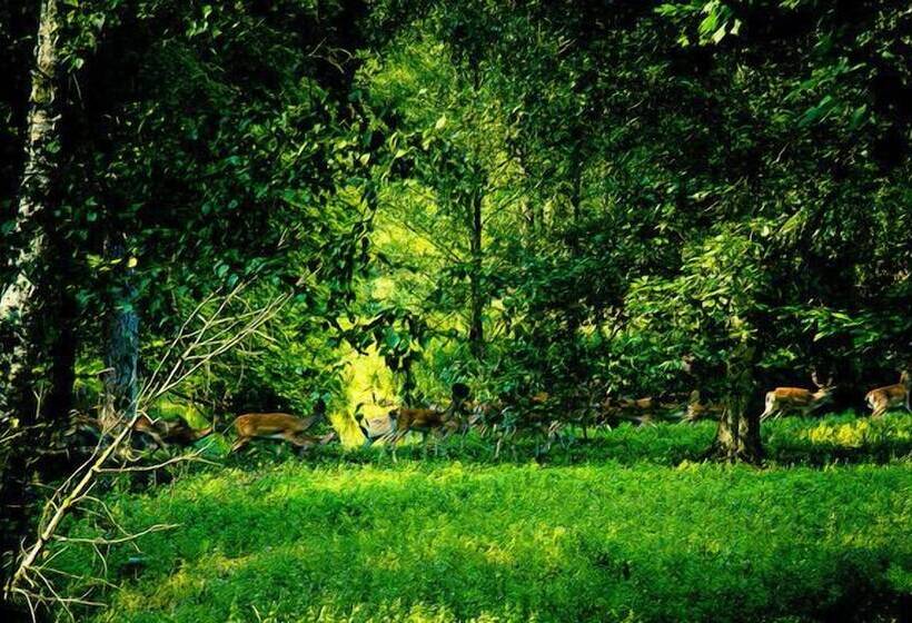 בית מלון כפרי Château Des Forgets