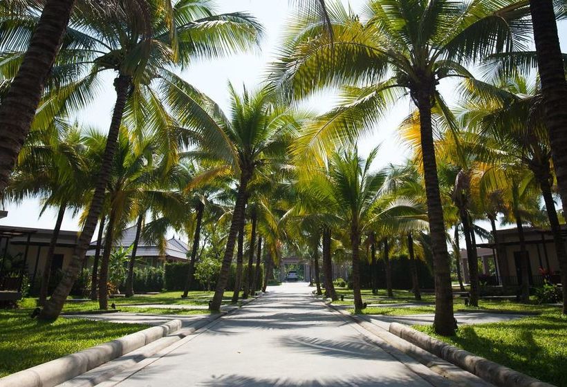 Отель Dream Garden Resort