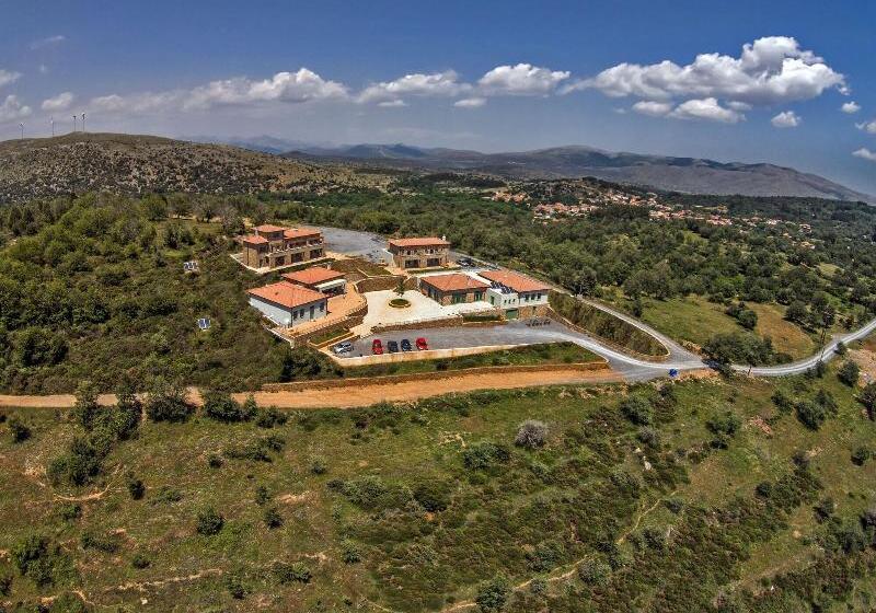 Отель Foresta In Medias Mores