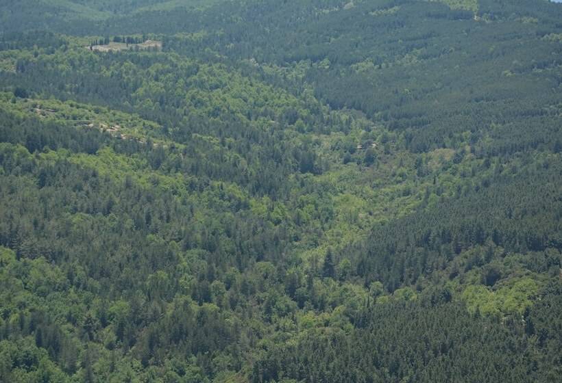 Отель Foresta In Medias Mores