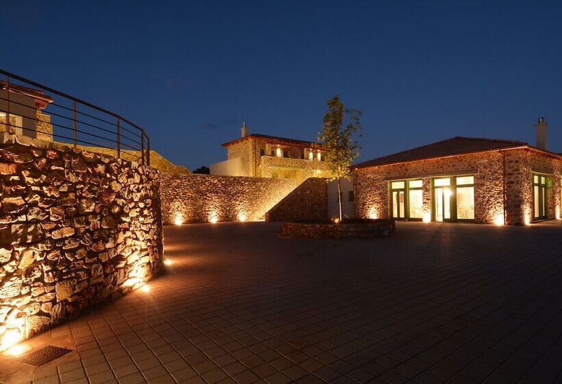 Отель Foresta In Medias Mores