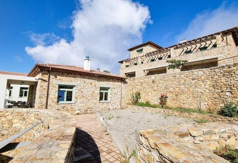 Отель Foresta In Medias Mores