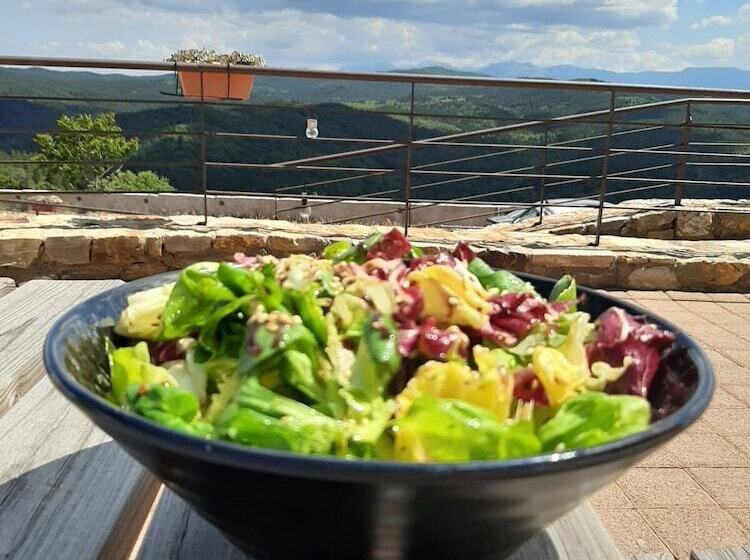 Отель Foresta In Medias Mores