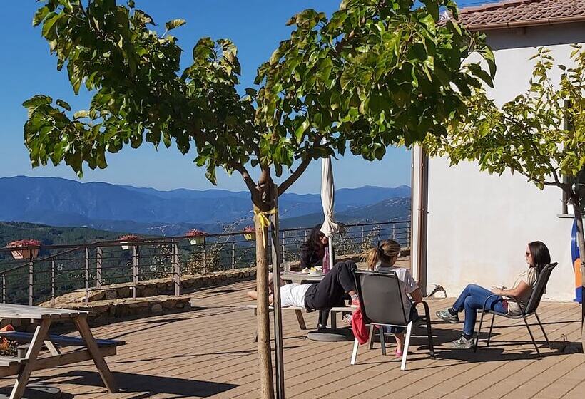 Отель Foresta In Medias Mores