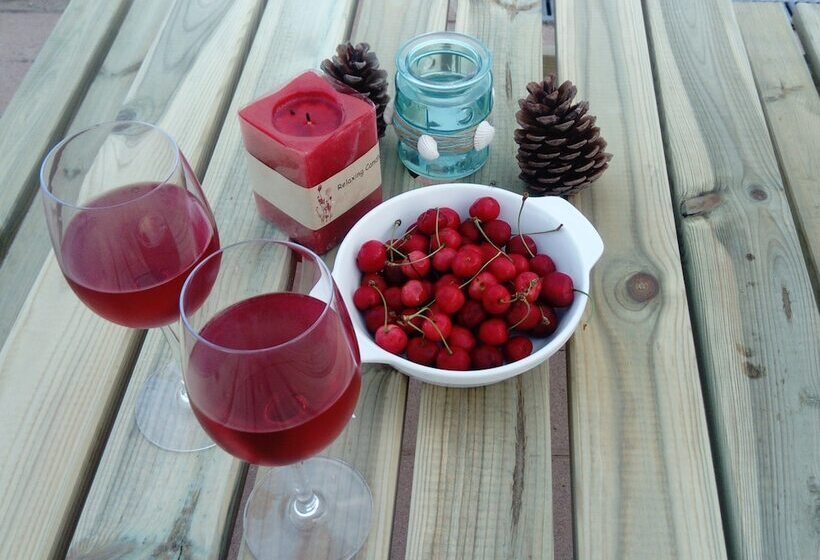 Отель Foresta In Medias Mores