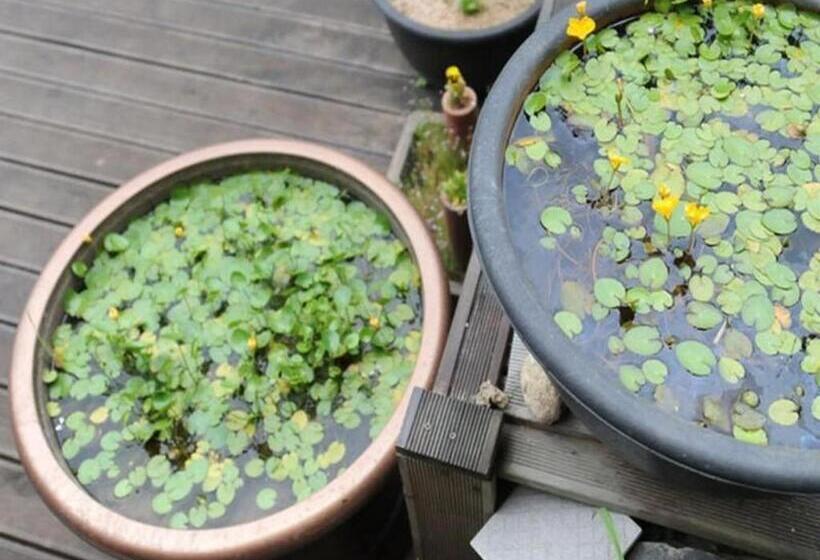 호텔 Goodstay Jirisan Little Prince Pension