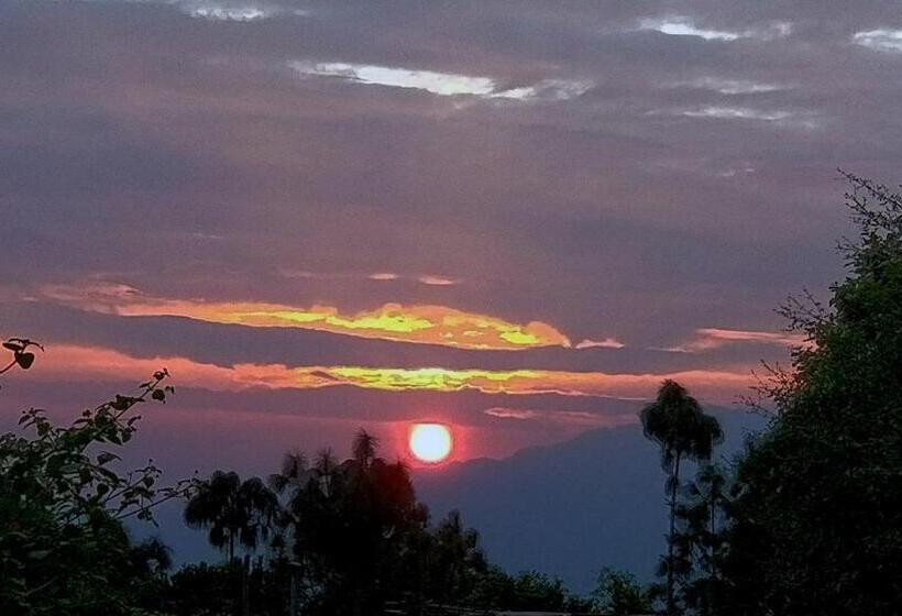 Hotel Kasang Regency Hill Resort