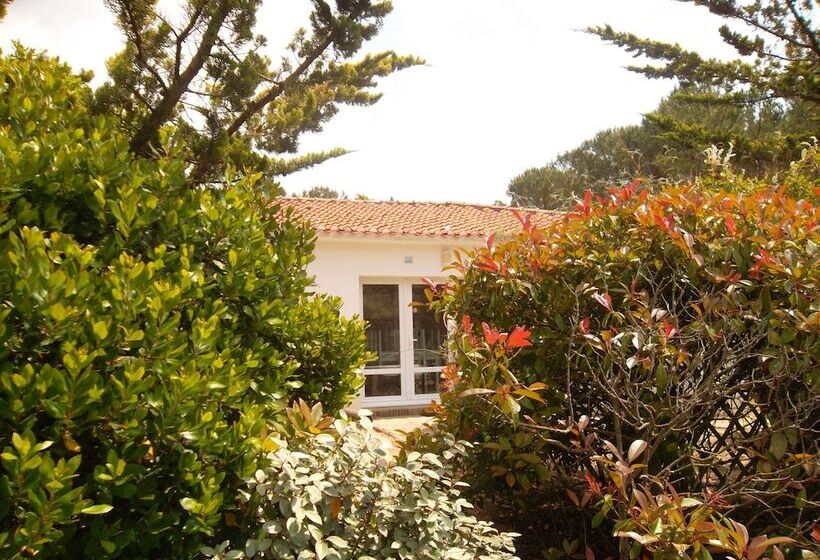 בית מלון כפרי Le Hameau De L'océan