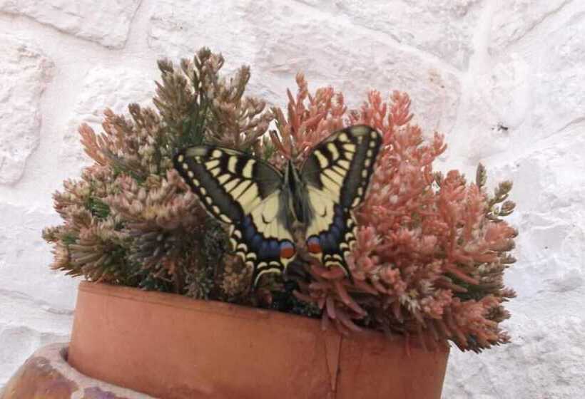 בית מלון כפרי Masseria Ciavea