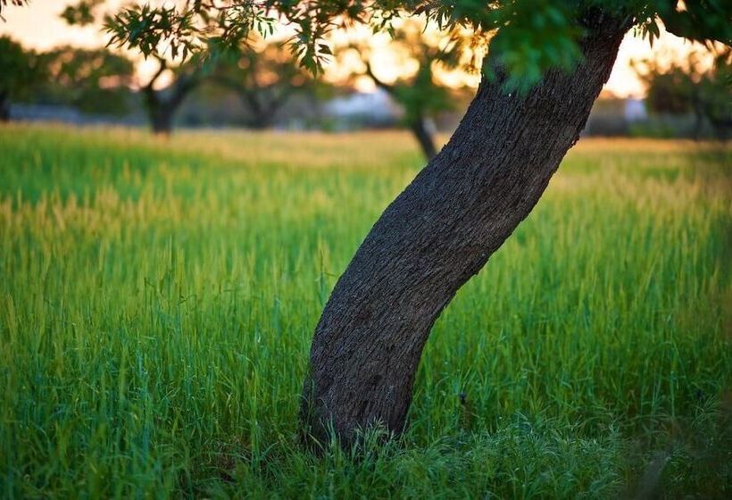 בית מלון כפרי Masseria Ciavea