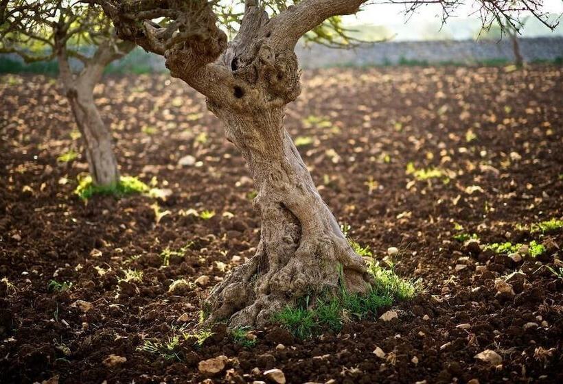 בית מלון כפרי Masseria Ciavea