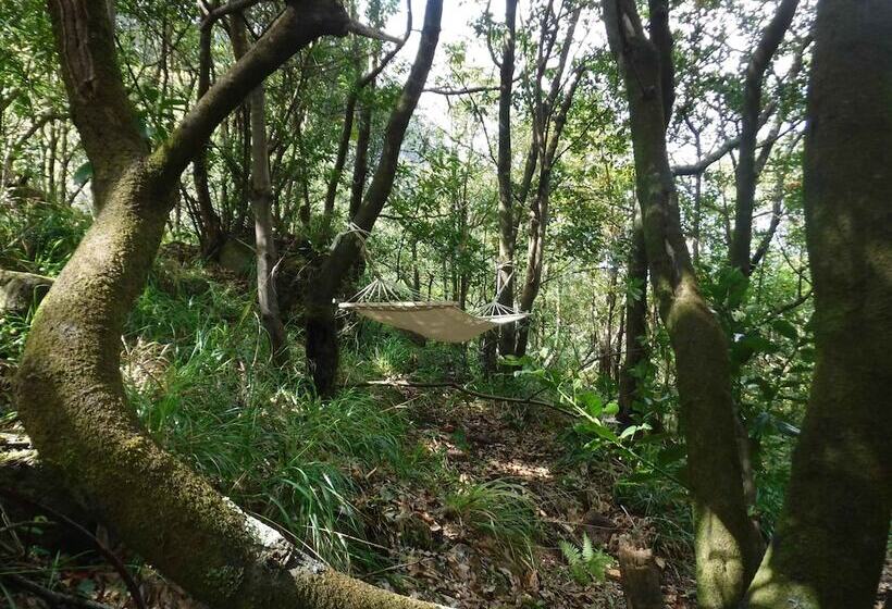 ホテル Nature Inn Madeira   Glamping